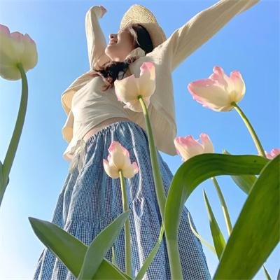 德克斯特的实验室第一季